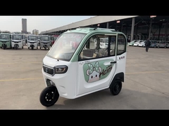 da roda elétrica do passageiro 3 dos adultos do triciclo do passageiro 800W triciclo elétrico