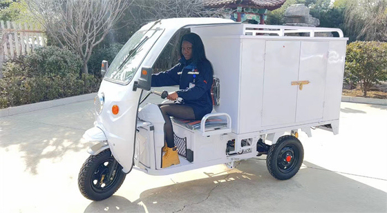 Passenger Electric Delivery Tricycle Freight Lightweight Electric Delivery Trike Fast
