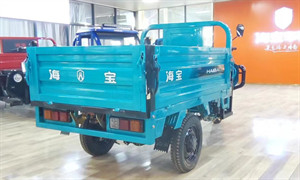 Open Electric Tricycle Truck Electric Cargo Tricycle For Adults