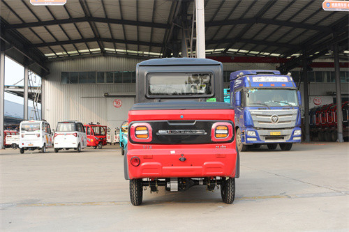M Ka G 2 Doors Enclosed Electric Tricycle 1000W Electric Tricycle Passenger