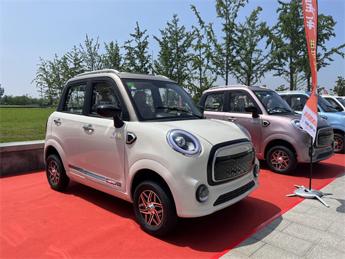 Ling Dong 60V 3000W Four Wheeler Electric Car Convenient Electric Passenger Caravan