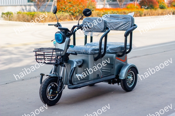 D18 500W Recreational Passenger Electric Tricycle