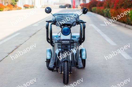 D18 500W Recreational Passenger Electric Tricycle
