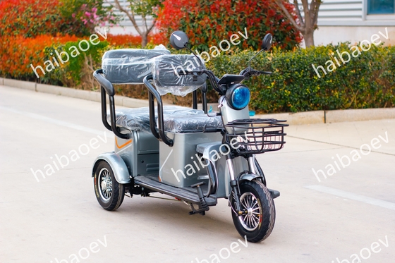 D18 500W Recreational Passenger Electric Tricycle