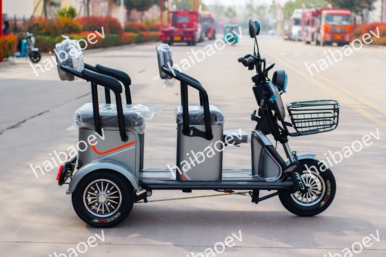 D18 500W Recreational Passenger Electric Tricycle