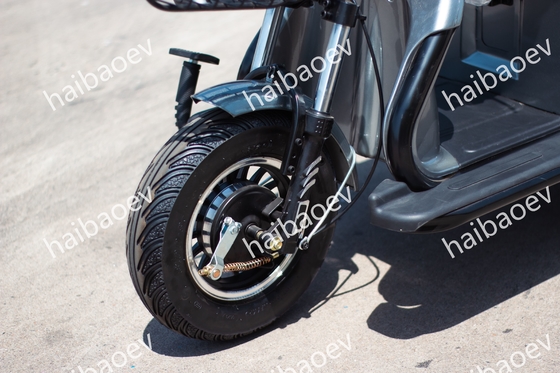 D18 500W Recreational Passenger Electric Tricycle