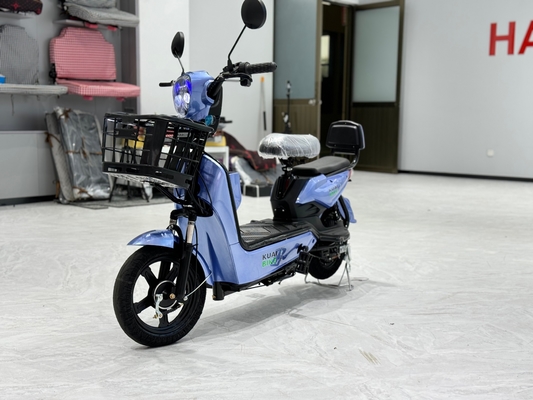 L1-B	 350W Electric Two-Wheeler