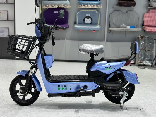 L1-B	 350W Electric Two-Wheeler