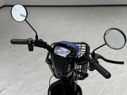 L1-B	 350W Electric Two-Wheeler