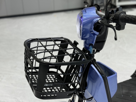 L1-B	 350W Electric Two-Wheeler
